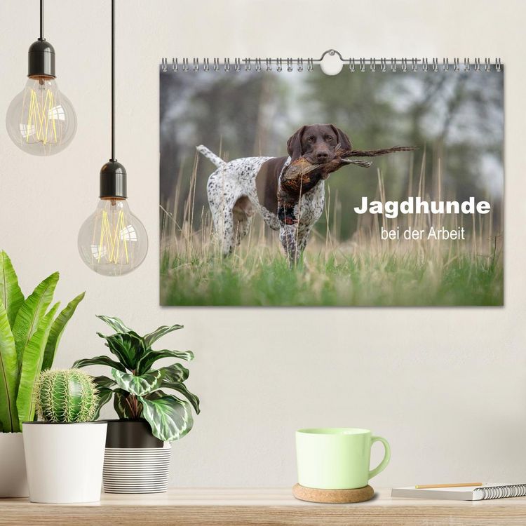 Produktbild: Jagdhunde bei der Arbeit (Wandkalender 2026 DIN A4 quer), CALVENDO Monatskalender