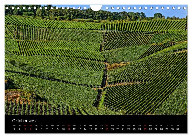 Produktbild: Sch&ouml;ne Mosel (Wandkalender 2026 DIN A4 quer), CALVENDO Monatskalender