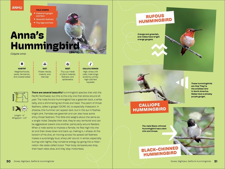 Produktbild: Birds of the Pacific Northwest for Kids