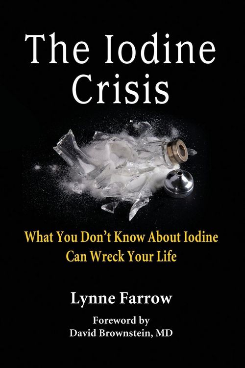 Produktbild: The Iodine Crisis