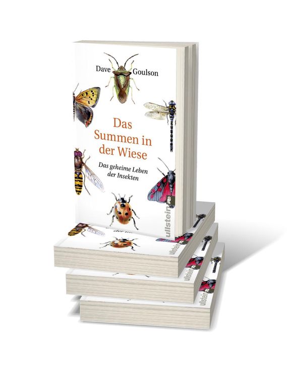 Produktbild: Das Summen in der Wiese
