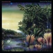 Produktbild: Tango In The Night (Remastered)