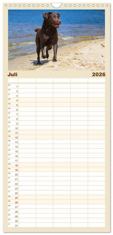 Produktbild: Familienplaner 2026 - Labrador Retriever - Freunde f&uuml;r&acute;s Leben mit 5 Spalten (Wandkalender, 21 x 45 cm) CALVENDO