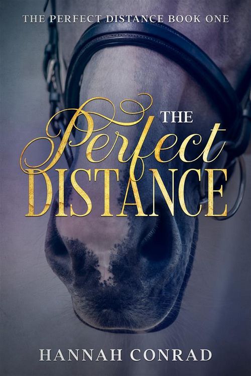 Produktbild: The Perfect Distance