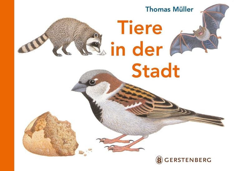Produktbild: Tiere in der Stadt