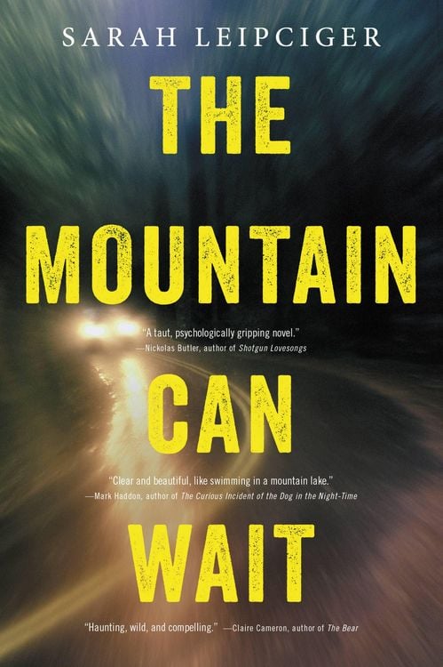 Produktbild: The Mountain Can Wait