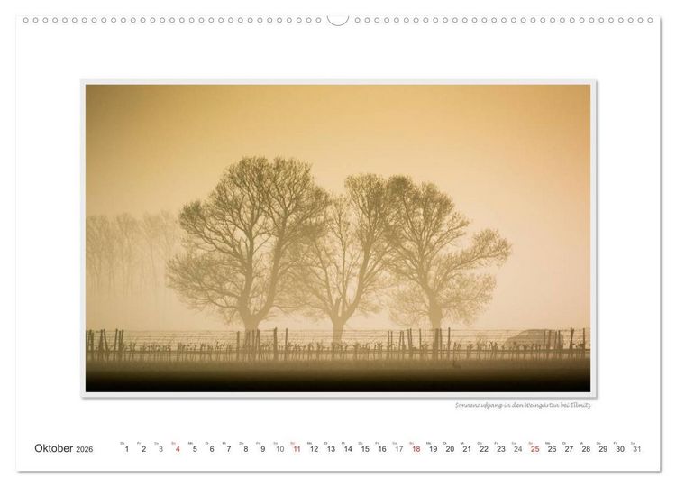 Produktbild: Neusiedler See / CH-Version (hochwertiger Premium Wandkalender 2026 DIN A2 quer), Kunstdruck in Hochglanz