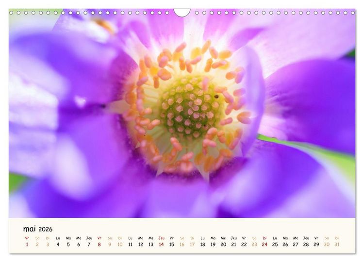 Produktbild: Au c&oelig;ur des fleurs (Calendrier mural 2026 DIN A3 vertical), CALVENDO calendrier mensuel