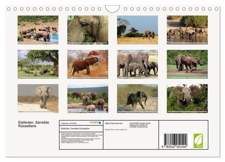 Produktbild: Elefanten. Sensible R&uuml;sseltiere (Wandkalender 2026 DIN A4 quer), CALVENDO Monatskalender