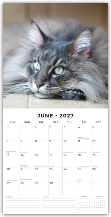 Produktbild: Maine Coon Cats &ndash; Maine Coon Katzen 2027 &ndash; 16-Monatskalender
