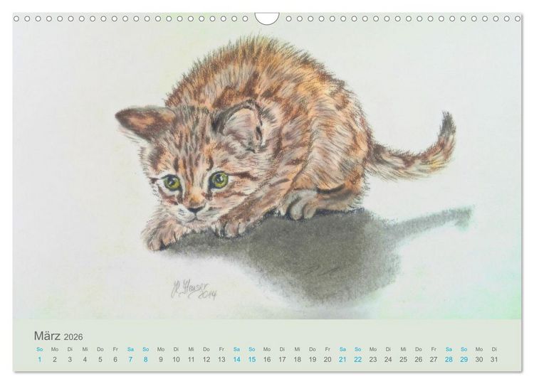 Produktbild: KATZEN PortraiTierART (Wandkalender 2026 DIN A3 quer), CALVENDO Monatskalender