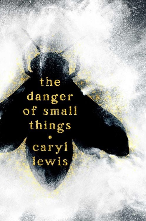 Produktbild: The Danger of Small Things