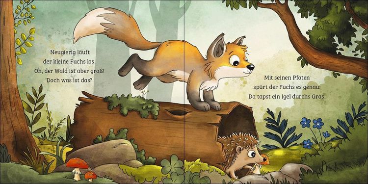 Produktbild: Mein erstes Naturbuch - Der Fuchs