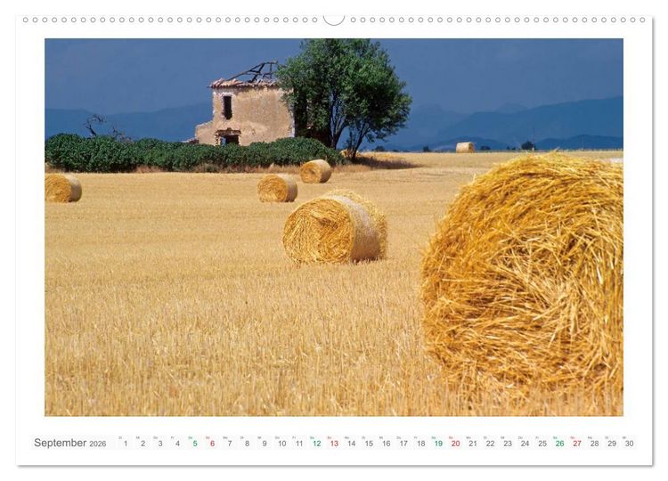 Produktbild: Farbenfrohe Provence (Wandkalender 2026 DIN A2 quer), CALVENDO Monatskalender