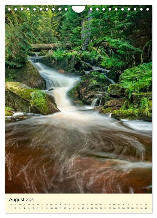 Produktbild: Abenteuer Nationalpark in Deutschland (Wandkalender 2026 DIN A4 hoch), CALVENDO Monatskalender
