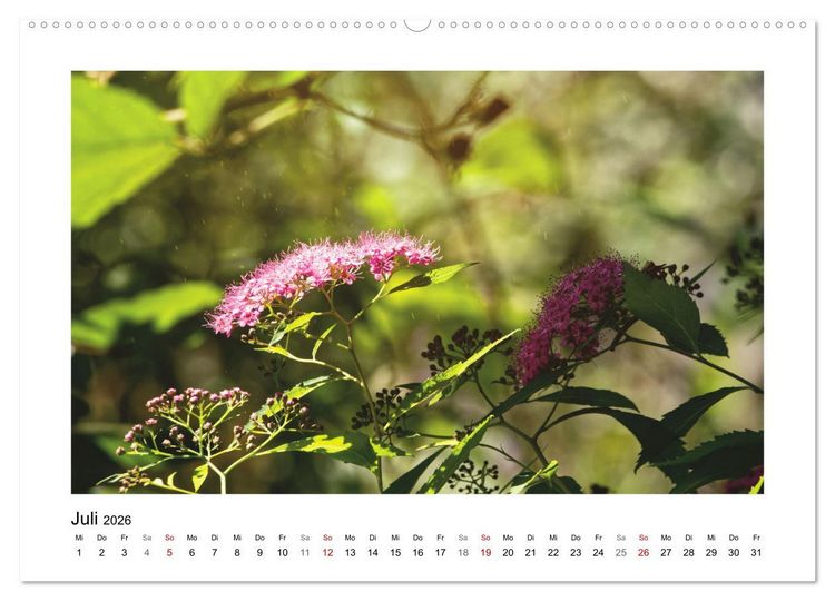 Produktbild: Mein Sehnsuchtsort, der Garten (hochwertiger Premium Wandkalender 2026 DIN A2 quer), Kunstdruck in Hochglanz