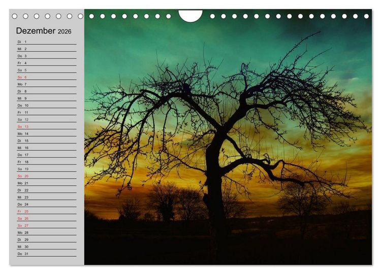 Produktbild: Magische B&auml;ume (Wandkalender 2026 DIN A4 quer), CALVENDO Monatskalender