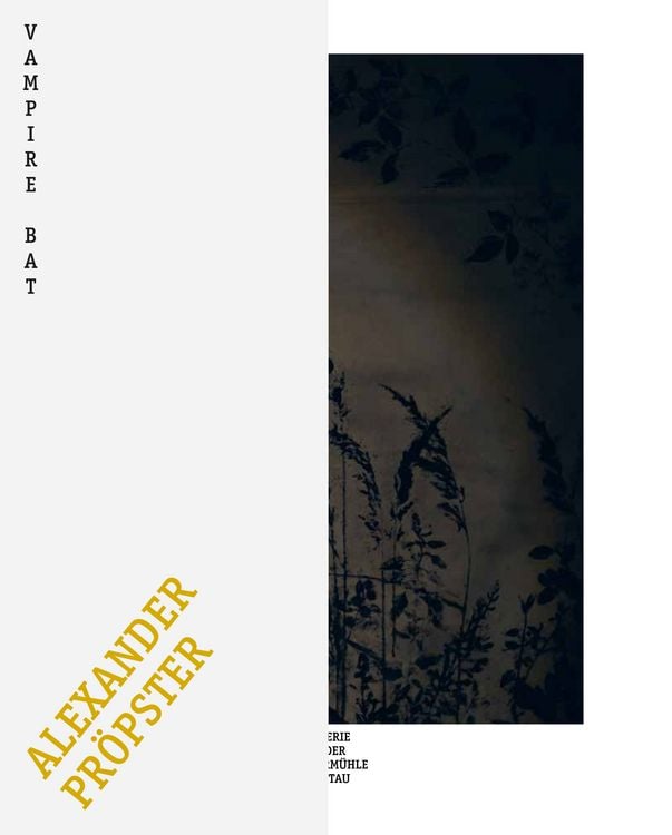 Produktbild: Vampire Bat