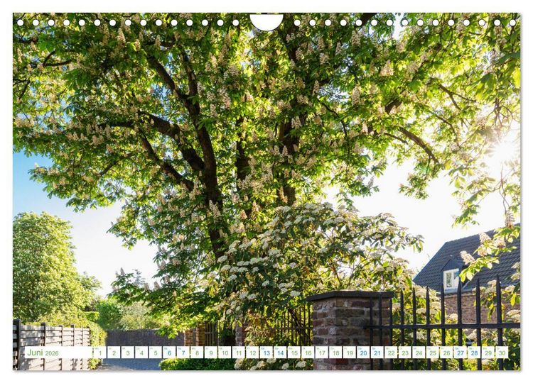 Produktbild: K&ouml;ln Widdersdorf - Bl&uuml;tentr&auml;ume und l&auml;ndliche Idylle (Wandkalender 2026 DIN A4 quer), CALVENDO Monatskalender