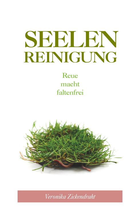 Produktbild: Seelenreinigung