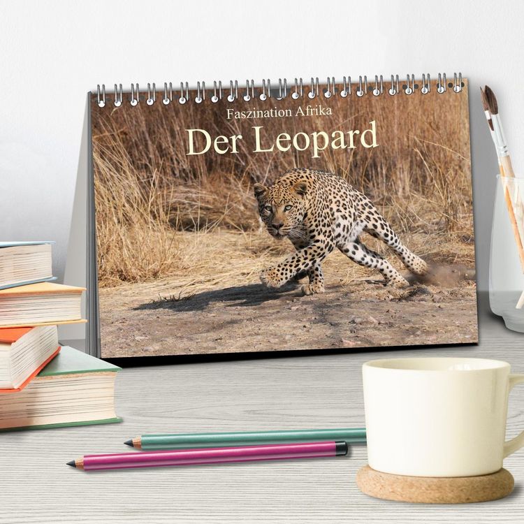 Produktbild: Faszination Afrika: Der Leopard (Tischkalender 2026 DIN A5 quer), CALVENDO Monatskalender