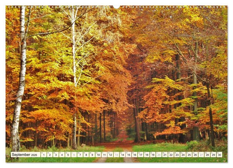 Produktbild: Rotenburg - Die bunte Stadt an der W&uuml;mme (hochwertiger Premium Wandkalender 2026 DIN A2 quer), Kunstdruck in Hochglanz