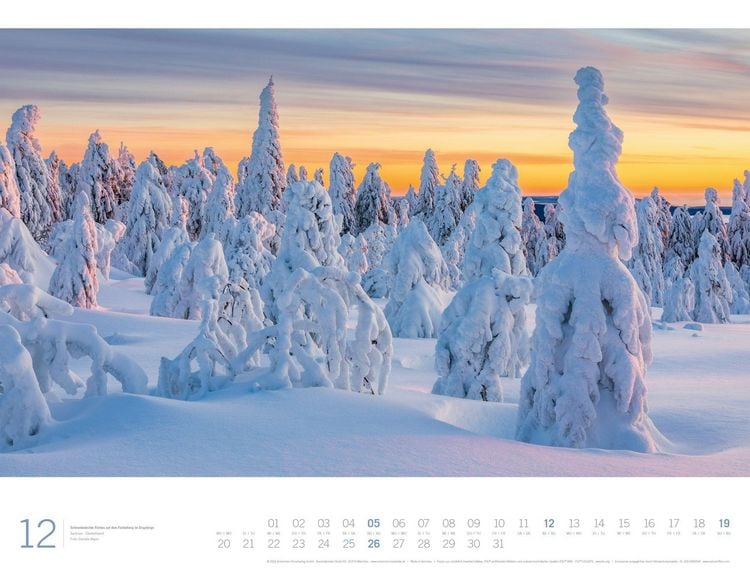 Produktbild: Wald Gallery Kalender 2027