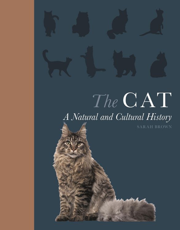 Produktbild: The Cat