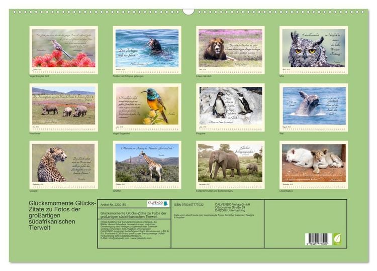 Produktbild: Gl&uuml;cksmomente Gl&uuml;cks-Zitate zu Fotos der gro&szlig;artigen s&uuml;dafrikanischen Tierwelt (Wandkalender 2026 DIN A2 quer), CALVENDO Monatskalender