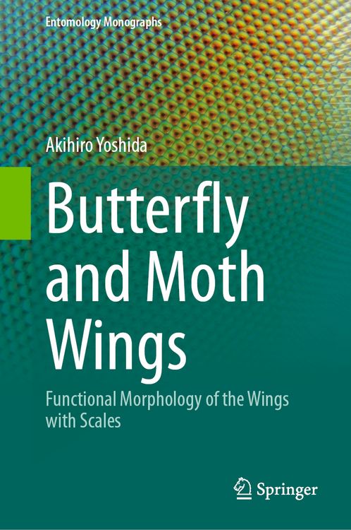 Produktbild: Butterfly and Moth Wings