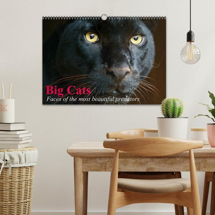 Produktbild: Big Cats &bull; Faces of the most beautiful predators (Wall Calendar 2026 DIN A3 landscape), CALVENDO 12 Month Wall Calendar