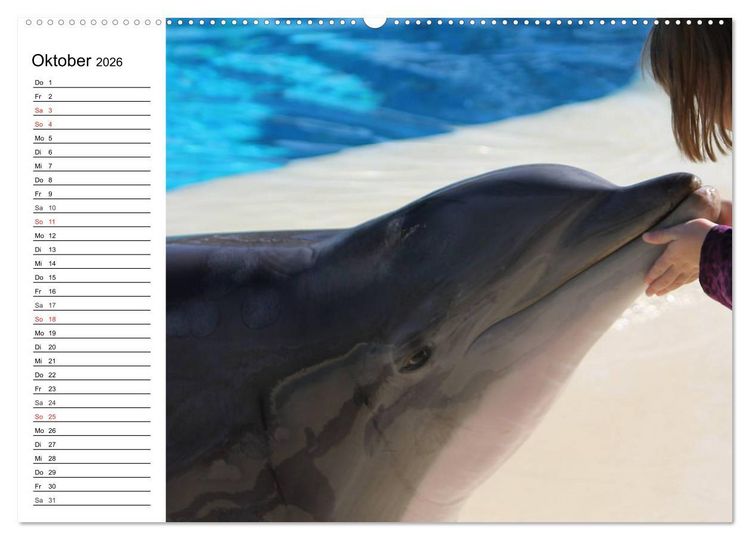 Produktbild: Delfine - L&auml;chelnde Intelligenz (hochwertiger Premium Wandkalender 2026 DIN A2 quer), Kunstdruck in Hochglanz