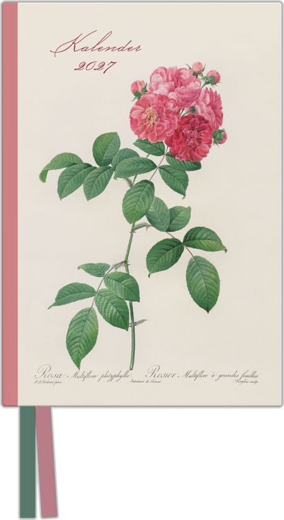 Produktbild: Redoutes Rosen 2027
