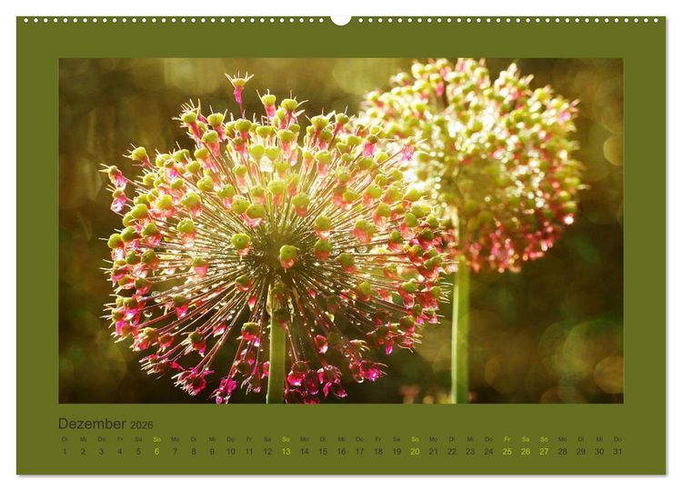 Produktbild: 12 Farben (hochwertiger Premium Wandkalender 2026 DIN A2 quer), Kunstdruck in Hochglanz