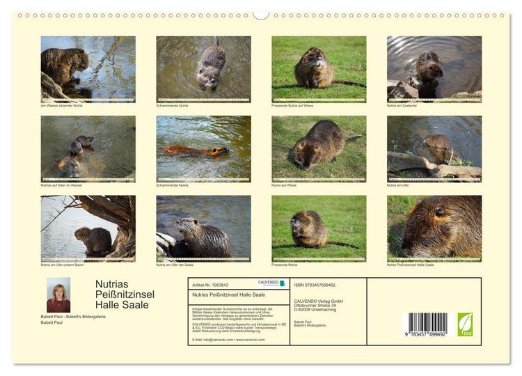 Produktbild: Nutrias Pei&szlig;nitzinsel Halle Saale (hochwertiger Premium Wandkalender 2026 DIN A2 quer), Kunstdruck in Hochglanz