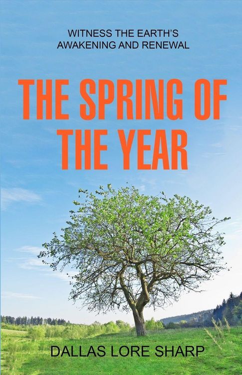 Produktbild: The Spring of the Year