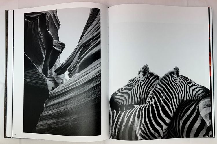 Produktbild: Mital Patel - States of Nature