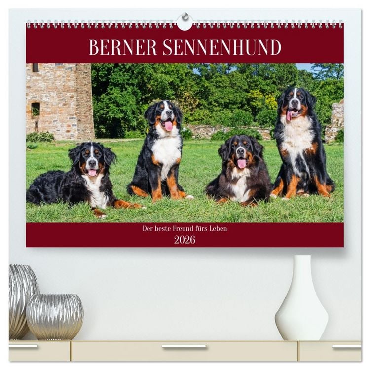 Produktbild: Berner Sennenhund - Der beste Freund f&uuml;rs Leben (hochwertiger Premium Wandkalender 2026 DIN A2 quer), Kunstdruck in Hochglanz