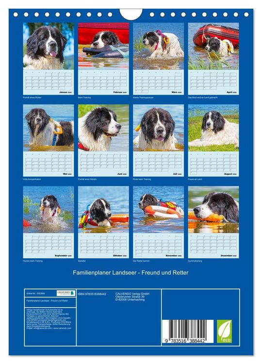 Produktbild: Familienplaner Landseer - Freund und Retter (Wandkalender 2026 DIN A4 hoch), CALVENDO Monatskalender