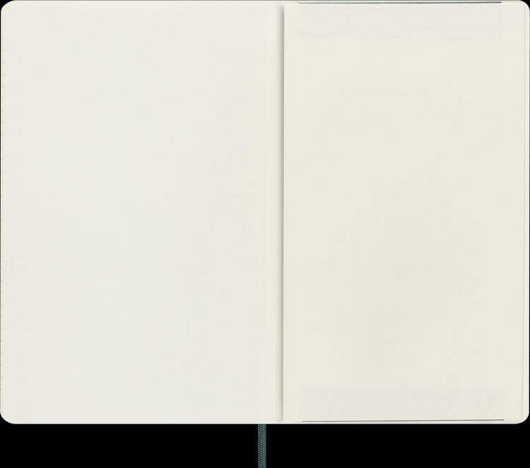 Produktbild: Moleskine Vegea Boa Notizbuch A5 liniert Kt gr&uuml;n in Box