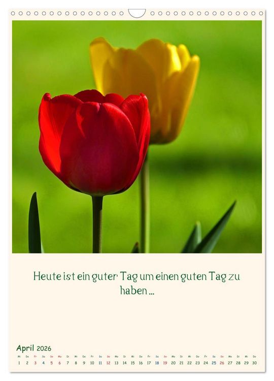 Produktbild: Mit Blumen durchs Jahr (Wandkalender 2026 DIN A3 hoch), CALVENDO Monatskalender