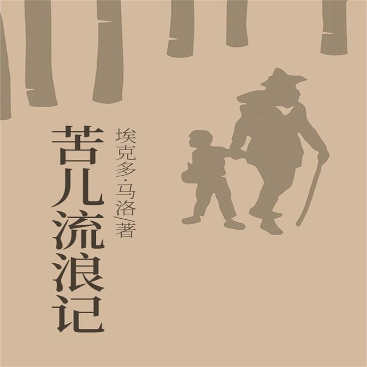 Produktbild: 苦儿流浪记