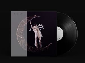 Produktbild: Believer