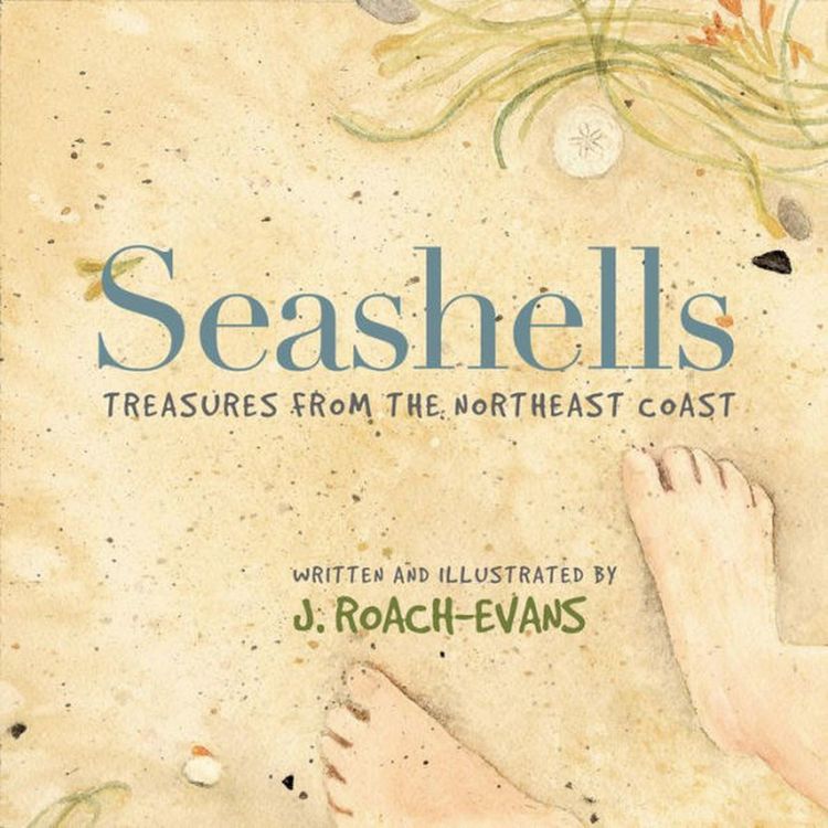Produktbild: Seashells