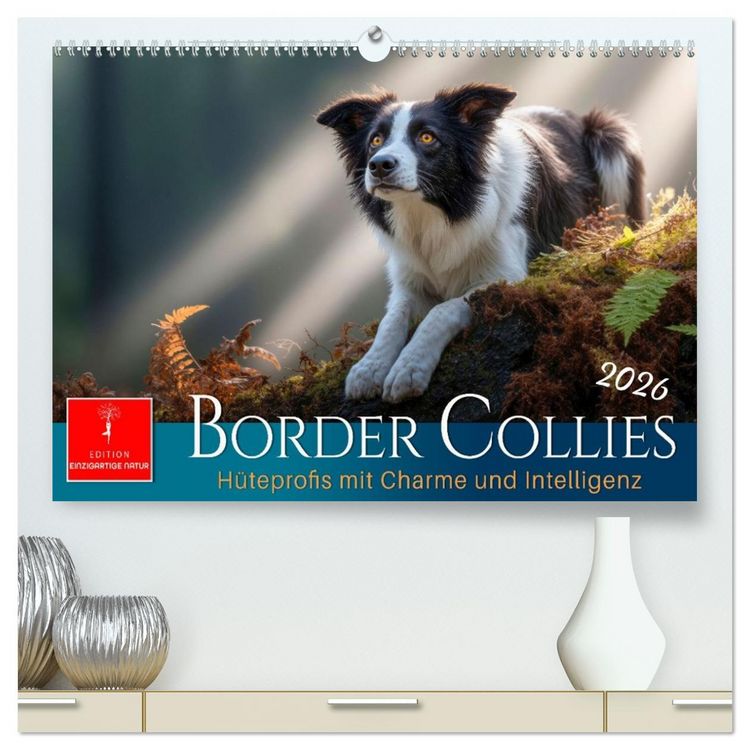 Produktbild: Border Collies H&uuml;teprofis (hochwertiger Premium Wandkalender 2026 DIN A2 quer), Kunstdruck in Hochglanz