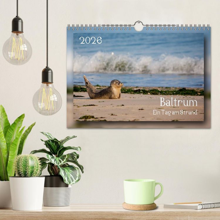 Produktbild: Baltrum - Ein Tag am Strand (Wandkalender 2026 DIN A4 quer), CALVENDO Monatskalender