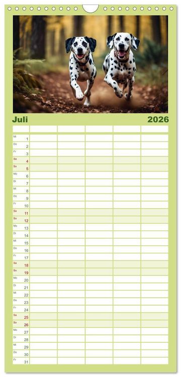 Produktbild: Familienplaner 2026 - Dalmatiner - freundliche Temperamentsbolzen mit 5 Spalten (Wandkalender, 21 x 45 cm) CALVENDO