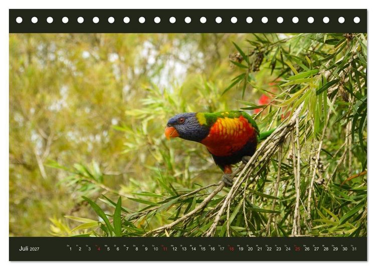 Produktbild: Australien - Farbige Vielfalt (Tischkalender 2027 DIN A5 quer), CALVENDO Monatskalender