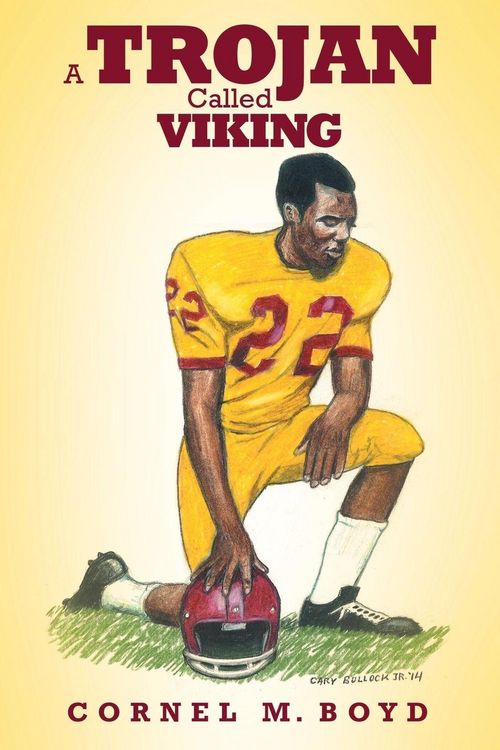 Produktbild: A Trojan Called Viking