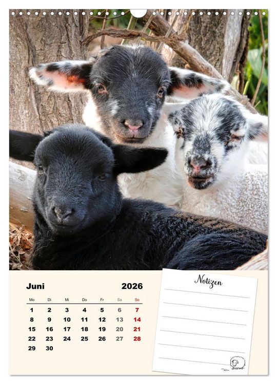 Produktbild: L&auml;mmergl&uuml;ck (Wandkalender 2026 DIN A3 hoch), CALVENDO Monatskalender